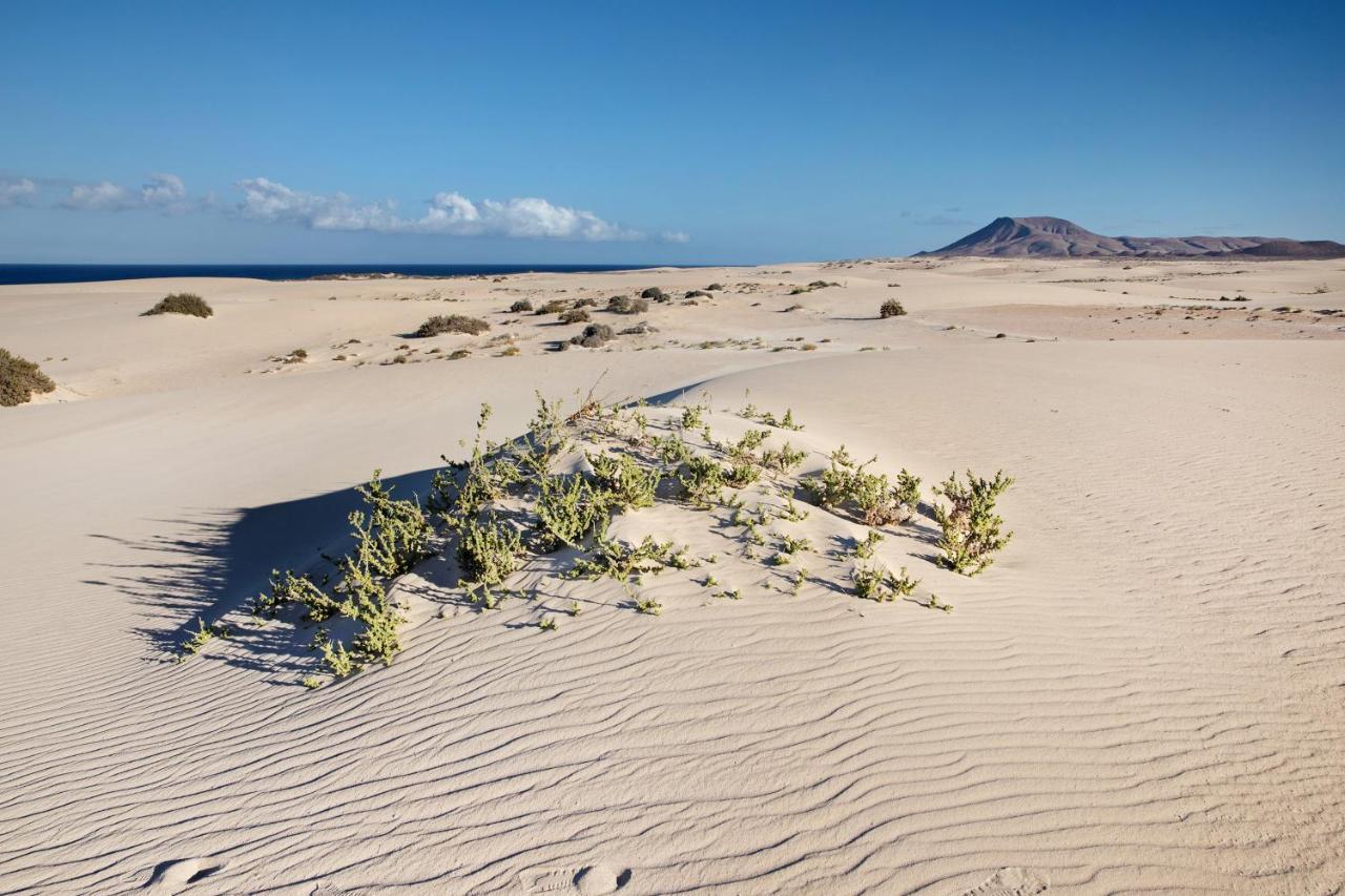 Las Fuentes Corralejo Ngoại thất bức ảnh